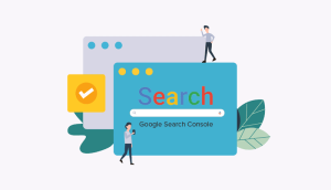 استفاده از سرچ کنسول برای چه کسانی مناسب است؟