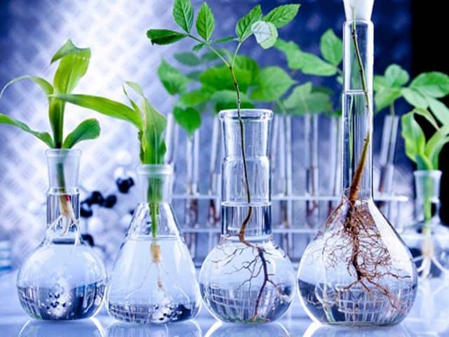 زیست فناوری چیست؟